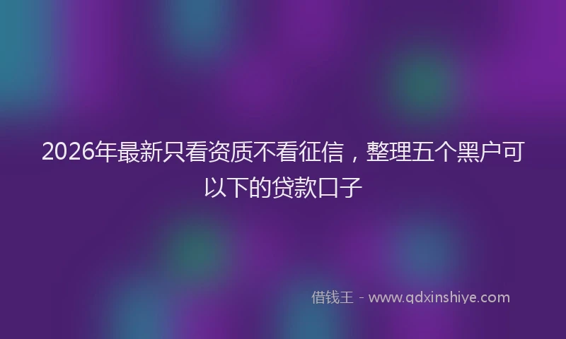 2026年最新只看资质不看征信，整理五个黑户可以下的贷款口子