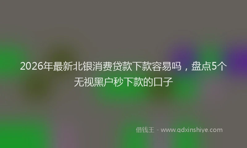 2026年最新北银消费贷款下款容易吗，盘点5个无视黑户秒下款的口子