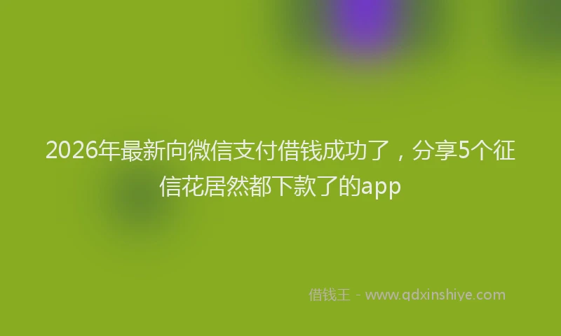 2026年最新向微信支付借钱成功了，分享5个征信花居然都下款了的app