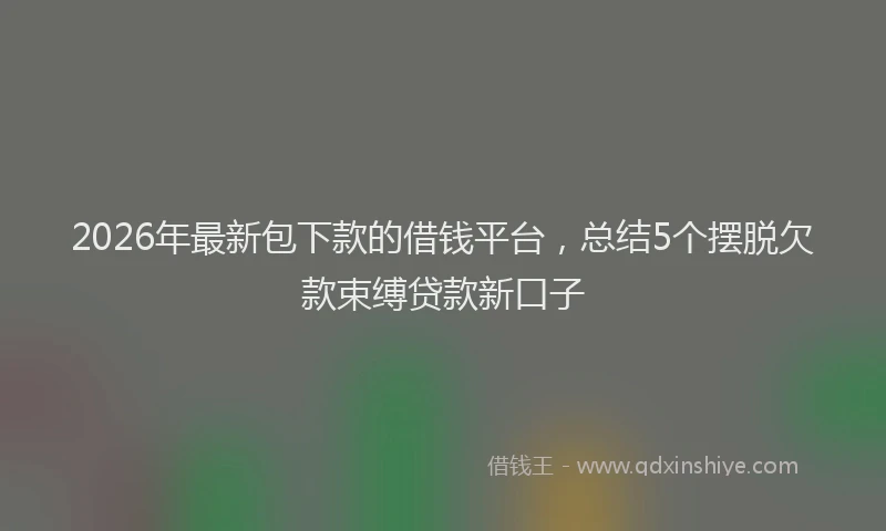 2026年最新包下款的借钱平台，总结5个摆脱欠款束缚贷款新口子
