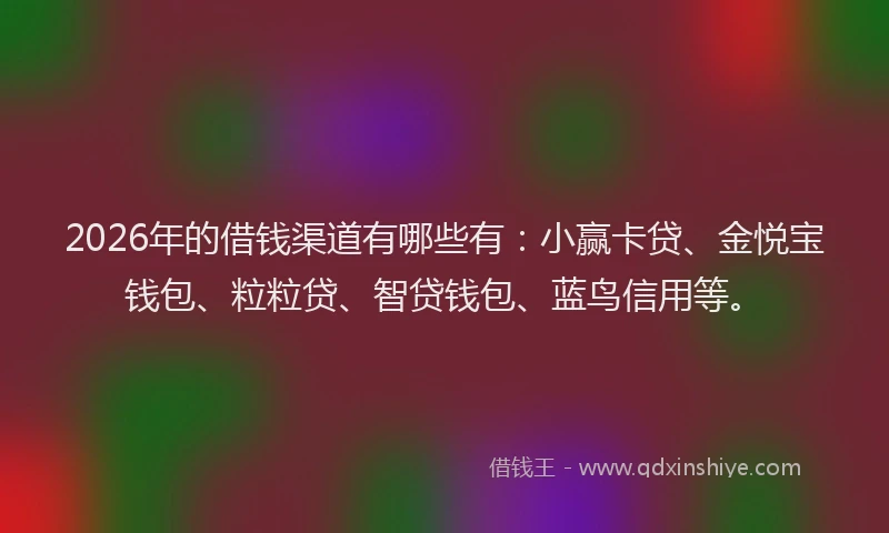 2026年的借钱渠道有哪些有:小赢卡贷、金悦宝钱包、粒粒贷、智贷钱包、蓝鸟信用等。