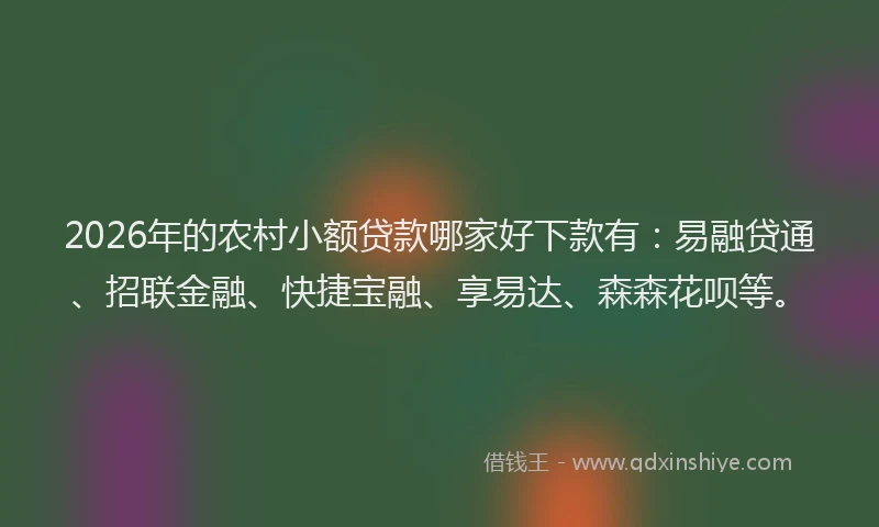 2026年的农村小额贷款哪家好下款有：易融贷通、招联金融、快捷宝融、享易达、森森花呗等。