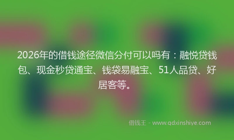 2026年的借钱途径微信分付可以吗有：融悦贷钱包、现金秒贷通宝、钱袋易融宝、51人品贷、好居客等。