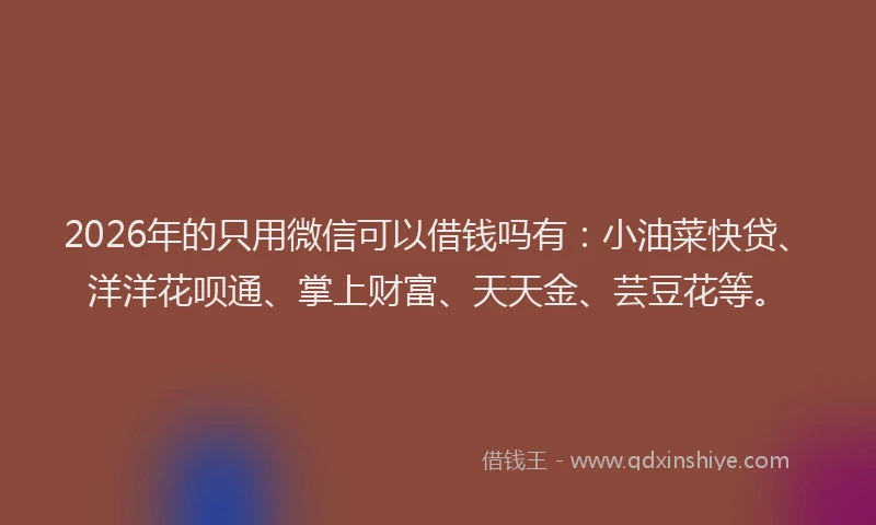 2026年的只用微信可以借钱吗有:小油菜快贷、洋洋花呗通、掌上财富、天天金、芸豆花等。