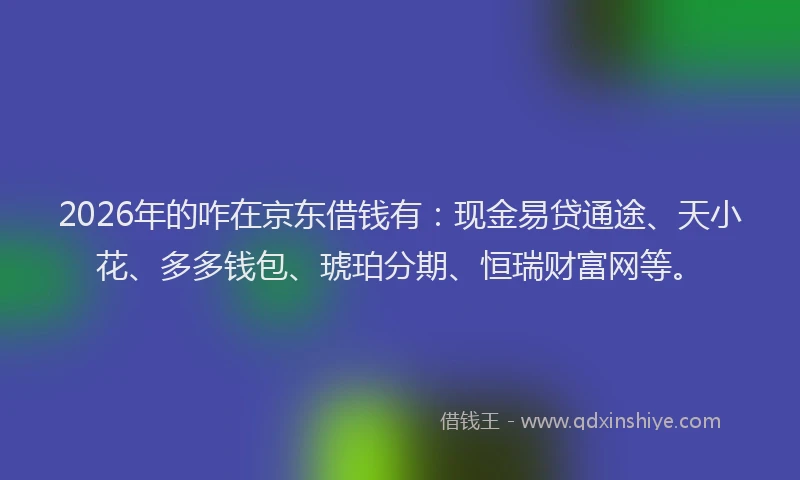2026年的咋在京东借钱有：现金易贷通途、天小花、多多钱包、琥珀分期、恒瑞财富网等。