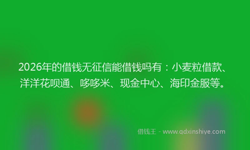 2026年的借钱无征信能借钱吗有：小麦粒借款、洋洋花呗通、哆哆米、现金中心、海印金服等。