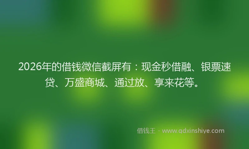 2026年的借钱微信截屏有：现金秒借融、银票速贷、万盛商城、通过放、享来花等。