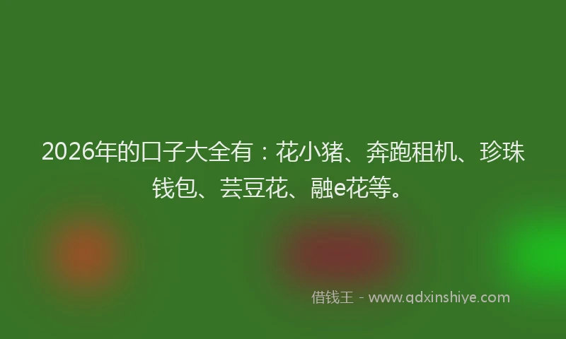 2026年的口子大全有：花小猪、奔跑租机、珍珠钱包、芸豆花、融e花等。