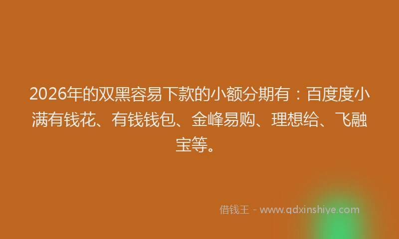 2026年的双黑容易下款的小额分期有:百度度小满有钱花、有钱钱包、金峰易购、理想给、飞融宝等。