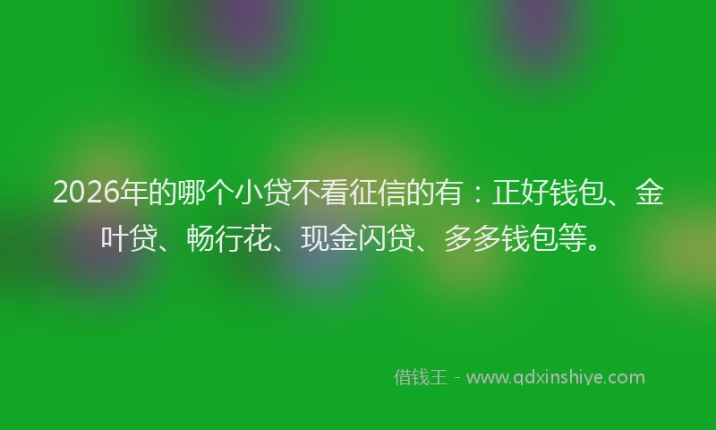 2026年的哪个小贷不看征信的有:正好钱包、金叶贷、畅行花、现金闪贷、多多钱包等。