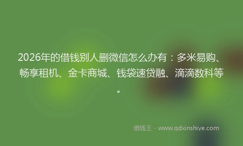 2026年的借钱别人删微信怎么办有:多米易购、畅享租机、金卡商城、钱袋速贷融、滴滴数科等。