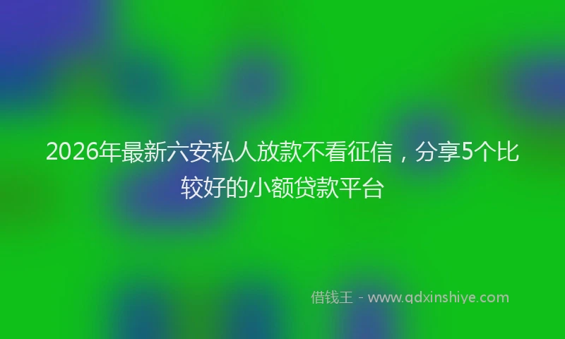 2026年最新六安私人放款不看征信，分享5个比较好的小额贷款平台