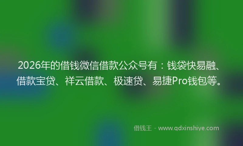 2026年的借钱微信借款公众号有：钱袋快易融、借款宝贷、祥云借款、极速贷、易捷Pro钱包等。