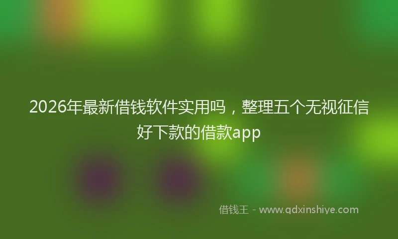 2026年最新借钱软件实用吗，整理五个无视征信好下款的借款app