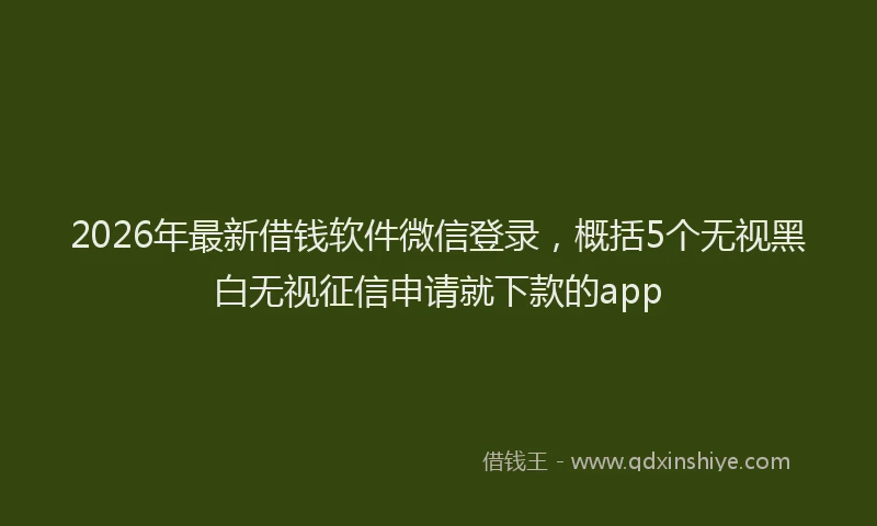 2026年最新借钱软件微信登录，概括5个无视黑白无视征信申请就下款的app