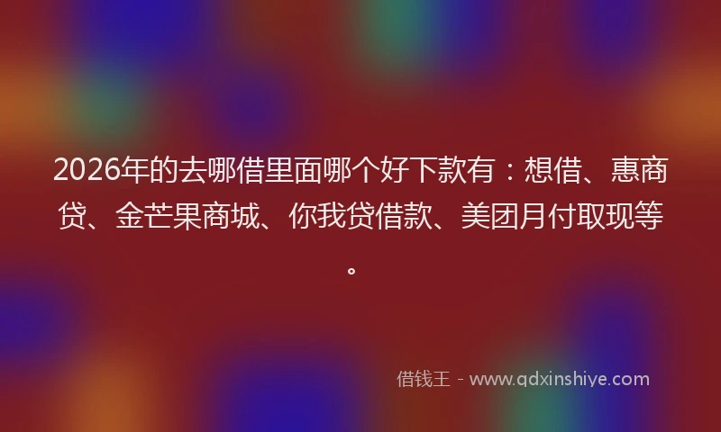 2026年的去哪借里面哪个好下款有：想借、惠商贷、金芒果商城、你我贷借款、美团月付取现等。