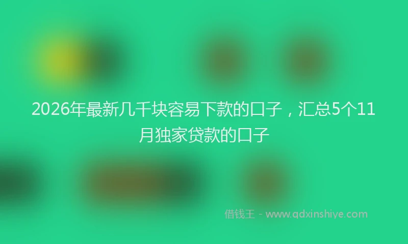 2026年最新几千块容易下款的口子，汇总5个11月独家贷款的口子