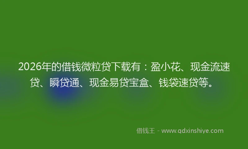 2026年的借钱微粒贷下载有：盈小花、现金流速贷、瞬贷通、现金易贷宝盒、钱袋速贷等。