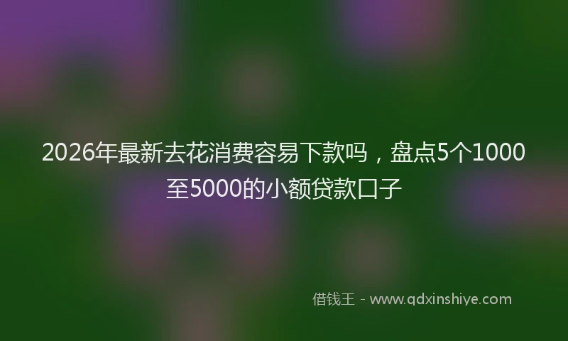 2026年最新去花消费容易下款吗，盘点5个1000至5000的小额贷款口子