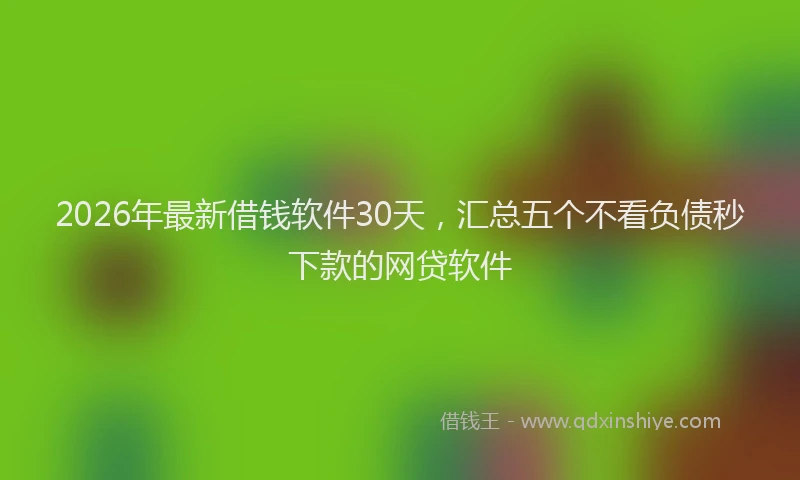 2026年最新借钱软件30天,汇总五个不看负债秒下款的网贷软件