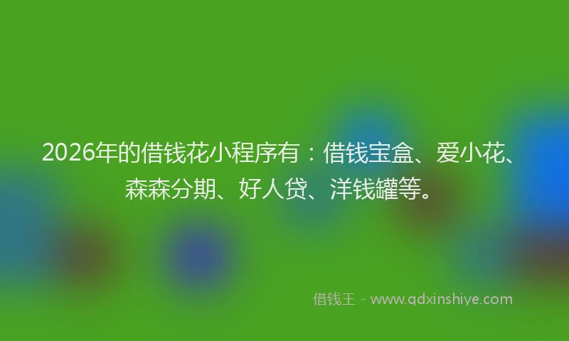 2026年的借钱花小程序有：借钱宝盒、爱小花、森森分期、好人贷、洋钱罐等。