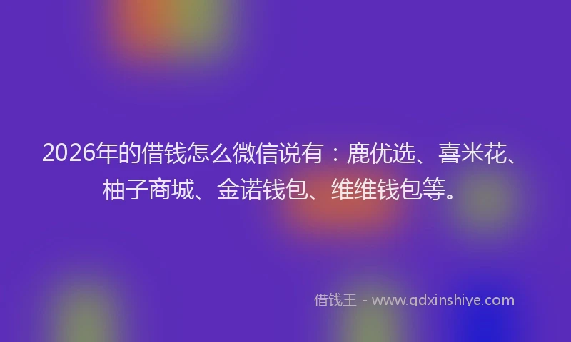 2026年的借钱怎么微信说有:鹿优选、喜米花、柚子商城、金诺钱包、维维钱包等。