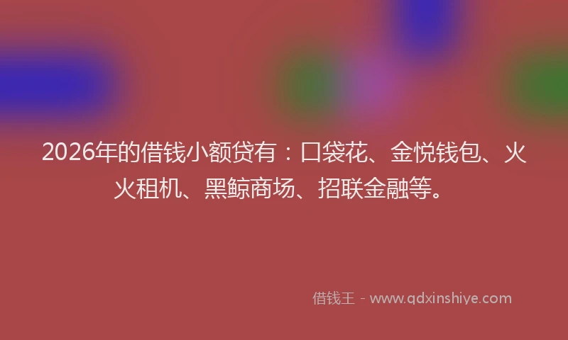 2026年的借钱小额贷有:口袋花、金悦钱包、火火租机、黑鲸商场、招联金融等。