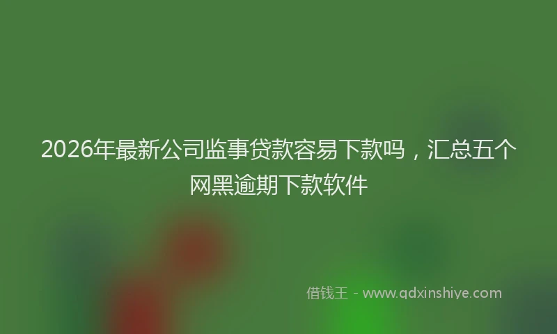 2026年最新公司监事贷款容易下款吗，汇总五个网黑逾期下款软件