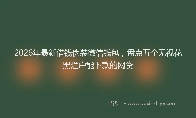 2026年最新借钱伪装微信钱包，盘点五个无视花黑烂户能下款的网贷