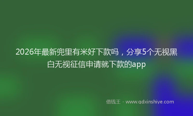 2026年最新兜里有米好下款吗，分享5个无视黑白无视征信申请就下款的app