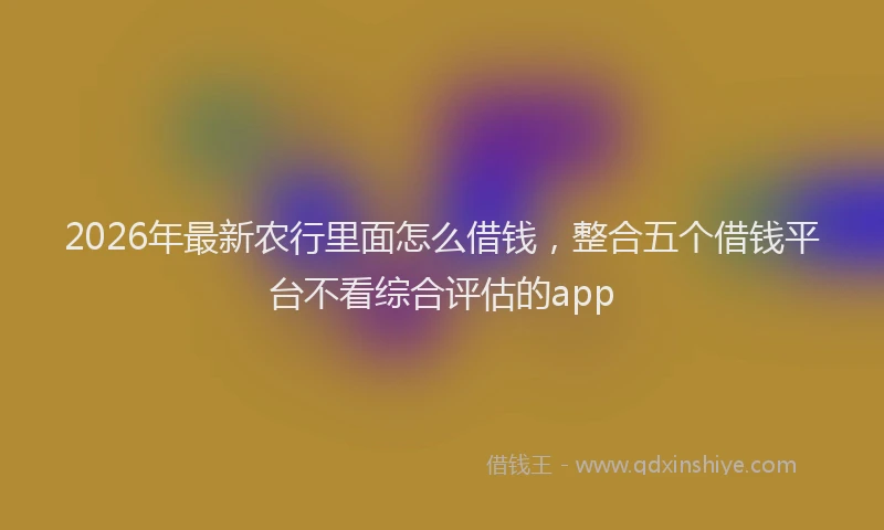 2026年最新农行里面怎么借钱,整合五个借钱平台不看综合评估的app