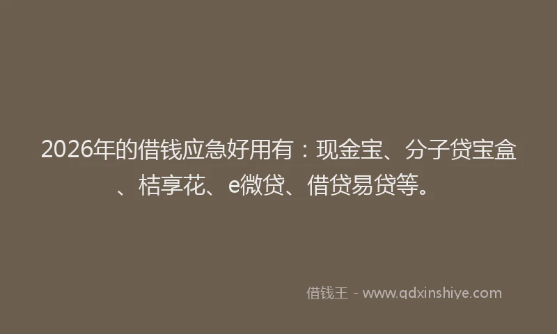 2026年的借钱应急好用有:现金宝、分子贷宝盒、桔享花、e微贷、借贷易贷等。