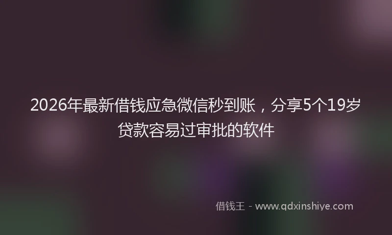 2026年最新借钱应急微信秒到账，分享5个19岁贷款容易过审批的软件