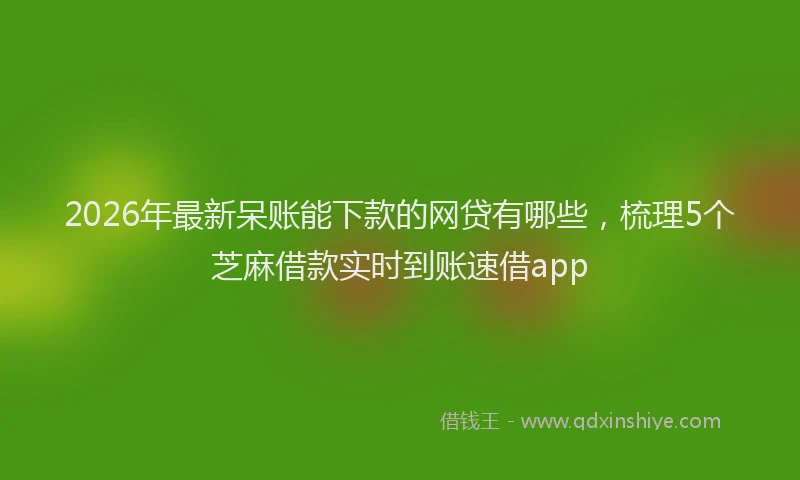 2026年最新呆账能下款的网贷有哪些，梳理5个芝麻借款实时到账速借app