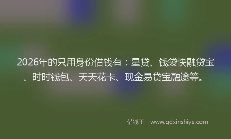2026年的只用身份借钱有:星贷、钱袋快融贷宝、时时钱包、天天花卡、现金易贷宝融途等。