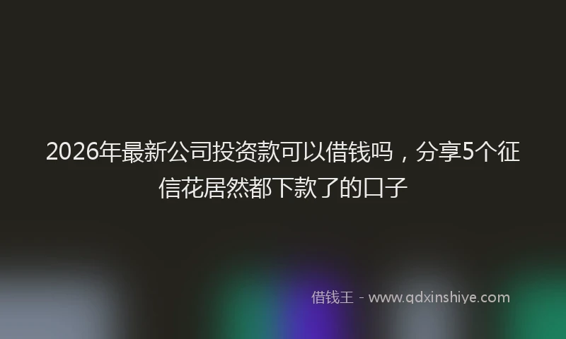 2026年最新公司投资款可以借钱吗，分享5个征信花居然都下款了的口子