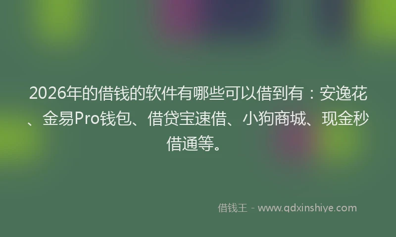 2026年的借钱的软件有哪些可以借到有：安逸花、金易Pro钱包、借贷宝速借、小狗商城、现金秒借通等。