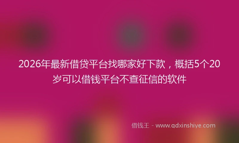 2026年最新借贷平台找哪家好下款，概括5个20岁可以借钱平台不查征信的软件
