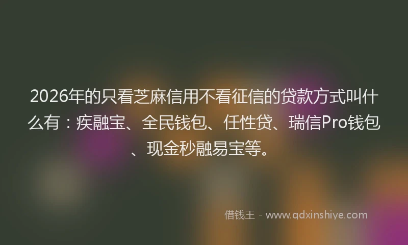 2026年的只看芝麻信用不看征信的贷款方式叫什么有:疾融宝、全民钱包、任性贷、瑞信Pro钱包、现金秒融易宝等。