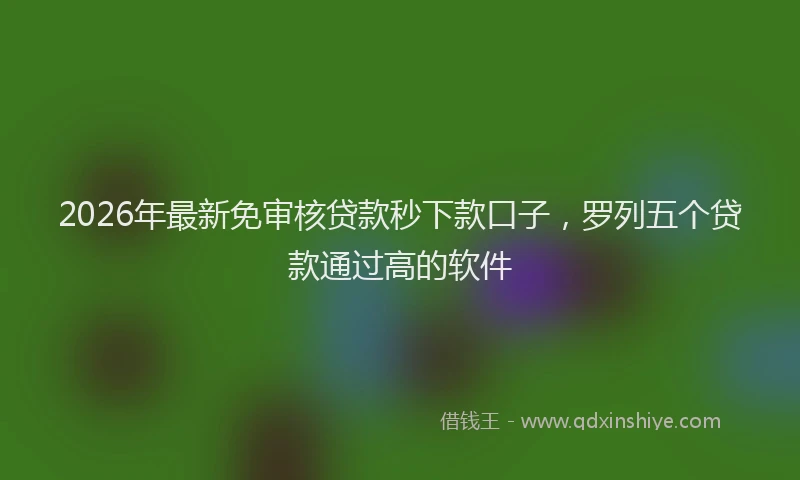 2026年最新免审核贷款秒下款口子，罗列五个贷款通过高的软件