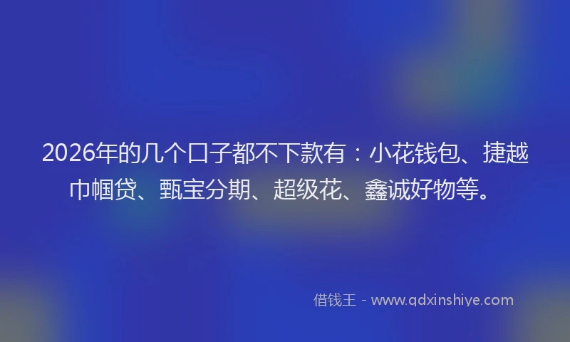 2026年的几个口子都不下款有：小花钱包、捷越巾帼贷、甄宝分期、超级花、鑫诚好物等。