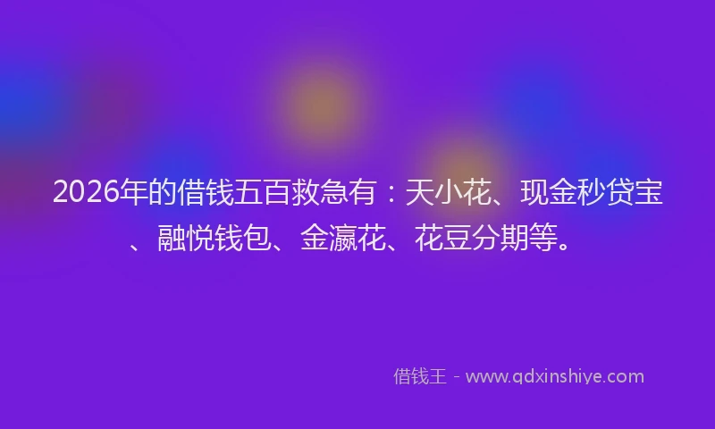 2026年的借钱五百救急有:天小花、现金秒贷宝、融悦钱包、金瀛花、花豆分期等。