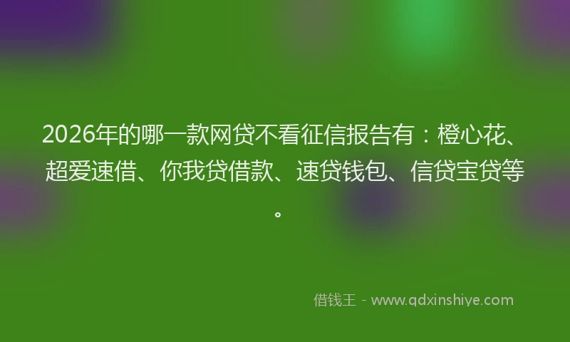 2026年的哪一款网贷不看征信报告有：橙心花、超爱速借、你我贷借款、速贷钱包、信贷宝贷等。
