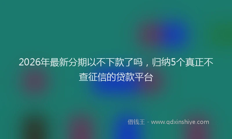2026年最新分期以不下款了吗，归纳5个真正不查征信的贷款平台