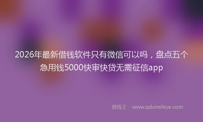 2026年最新借钱软件只有微信可以吗，盘点五个急用钱5000快审快贷无需征信app