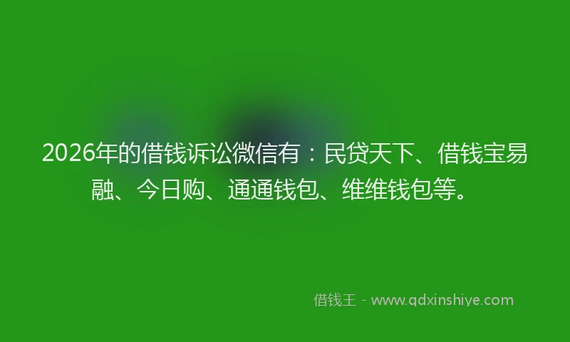 2026年的借钱诉讼微信有：民贷天下、借钱宝易融、今日购、通通钱包、维维钱包等。