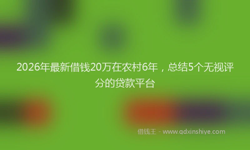 2026年最新借钱20万在农村6年，总结5个无视评分的贷款平台