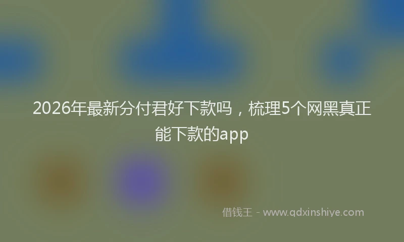 2026年最新分付君好下款吗，梳理5个网黑真正能下款的app