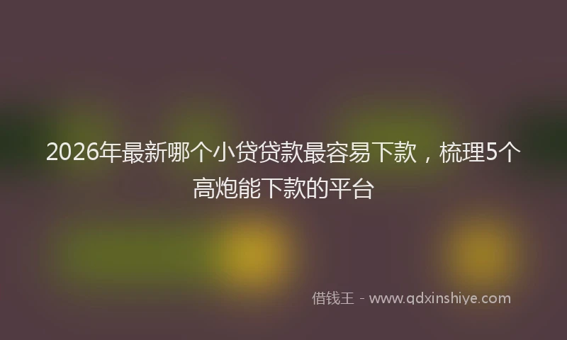 2026年最新哪个小贷贷款最容易下款，梳理5个高炮能下款的平台