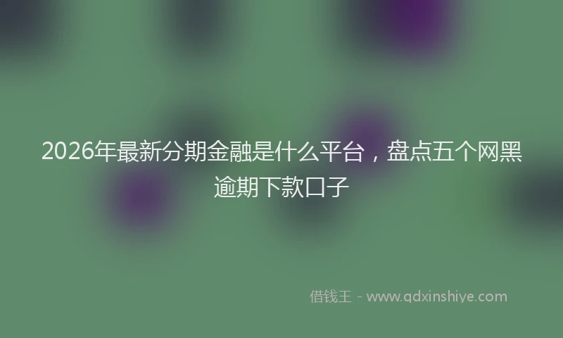 2026年最新分期金融是什么平台,盘点五个网黑逾期下款口子